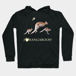 Australia Gift idea photo i love kangaroos Hoodie